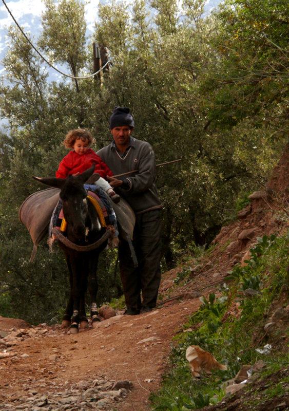 Donkey rider, Ouirgane, Morocco, 2006