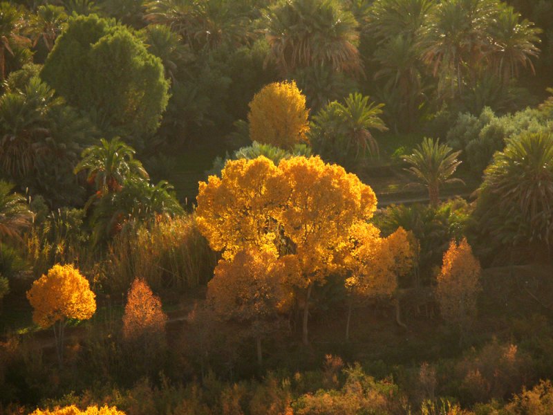 Zis Valley in winter colors, Midelt, Morocco, 2006