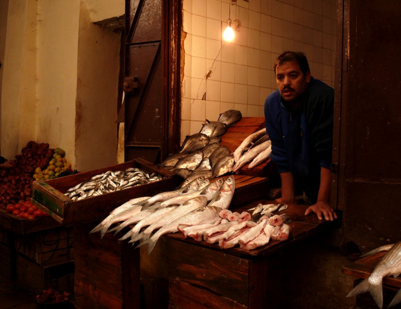 Fish, Fez, Morocco, 2006