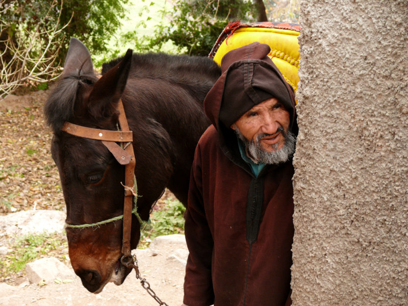 Donkey handler, Ouirgane, Morocco, 2006