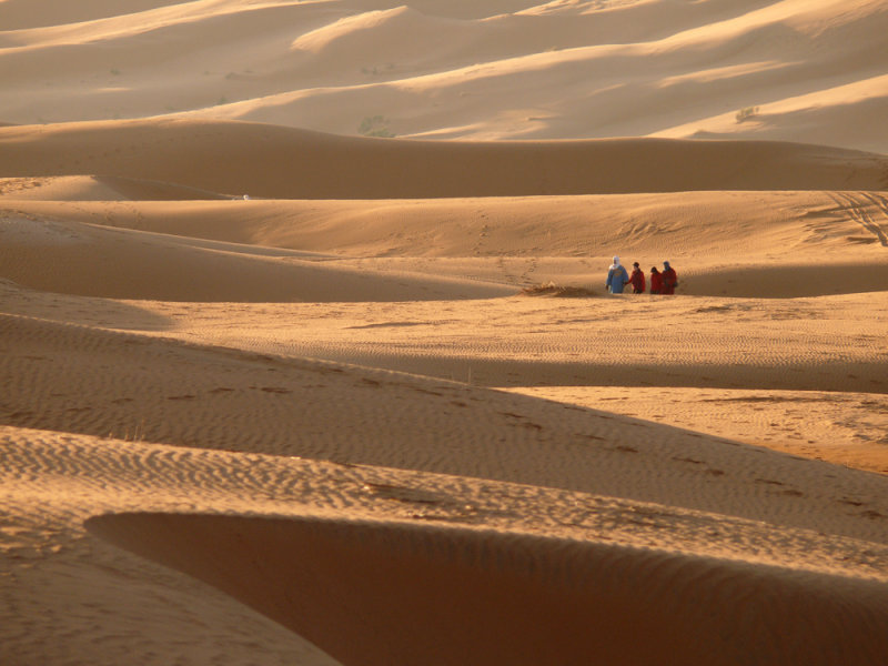 Dawn on the dune, Erg Chebbi, Sahara Desert, Morocco, 2006
