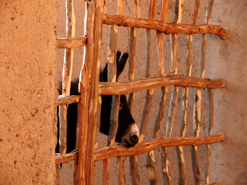 Donkey gate, Skoura, Morocco, 2006