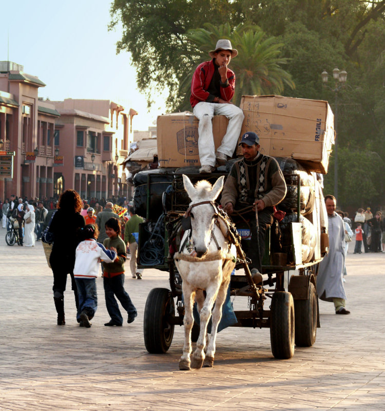 Moment in the square, Place Jemaa el-Fna, Marrakesh, Morocco, 2006
