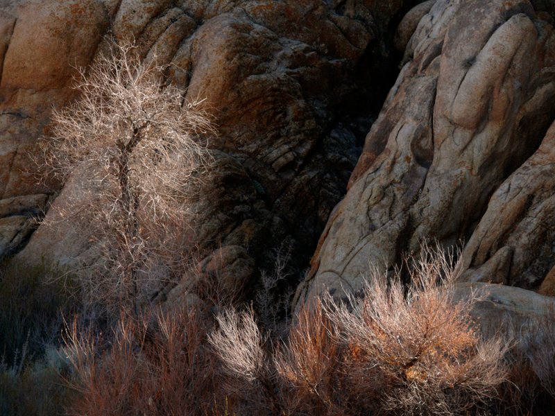 Winter light, Alabama Hills, Lone Pine, California, 2007