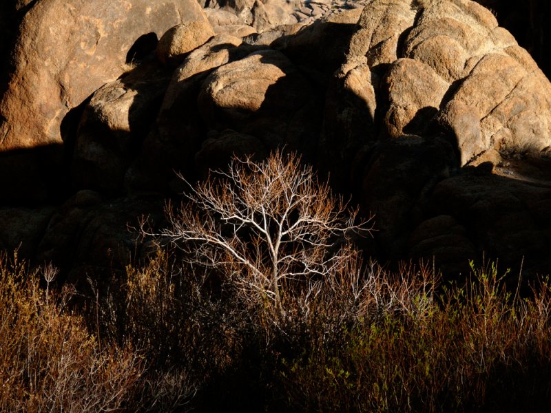 Ghost riders, Alabama Hills, Lone Pine, California, 2007