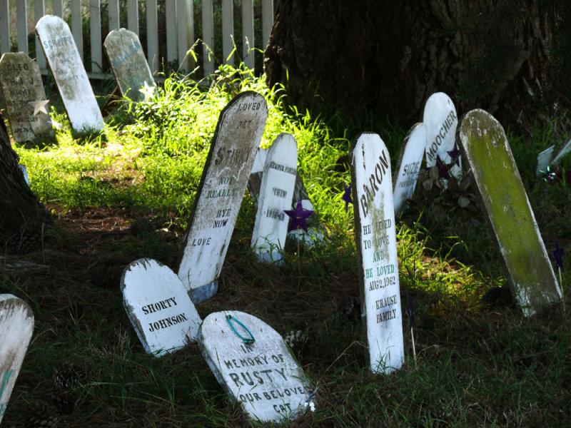 Pet Cemetery, The Presidio, San Francisco, California, 2007