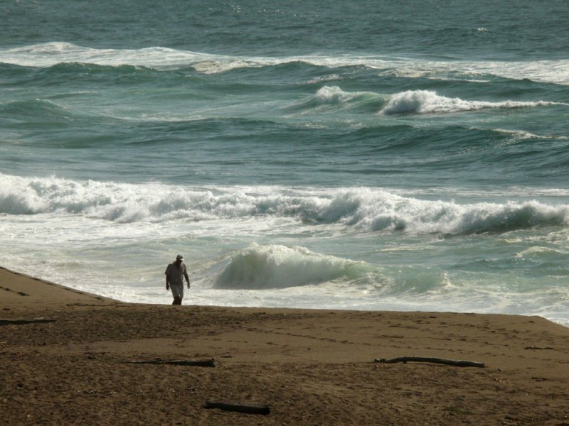 Beach walker, Point Reyes Seashore, California, 2007