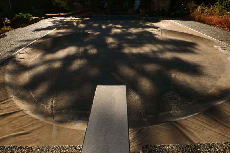 Swimming pool, Petaluma, California, 2007