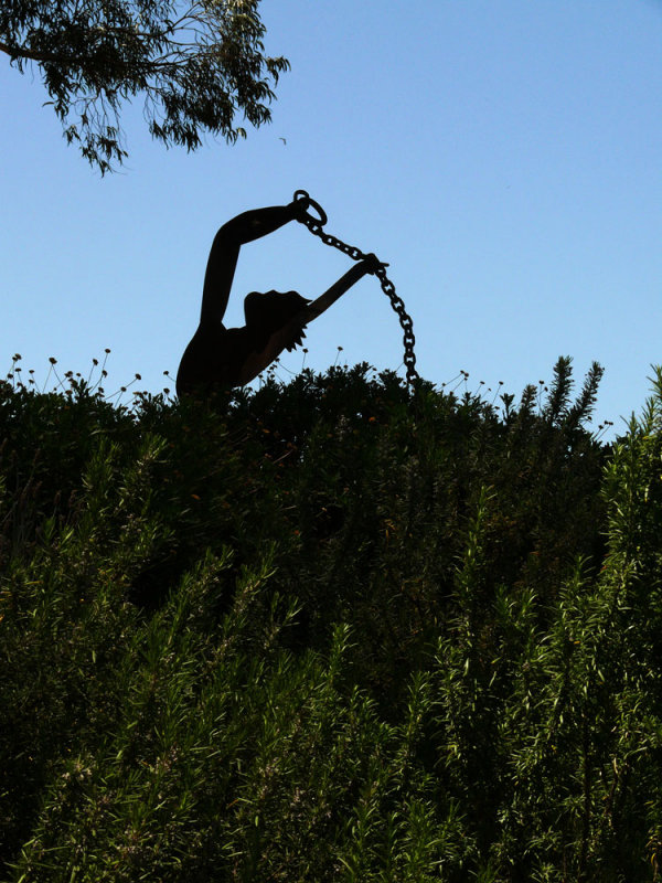 Emergence, di Rosa Preserve, Napa Valley, California, 2007