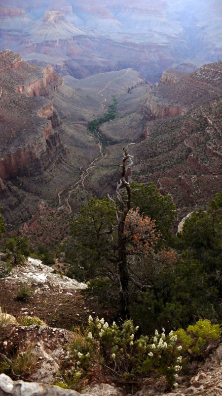 The colors of dawn, Bright Angel Trail, Grand Canyon National Park, Arizona, 2007