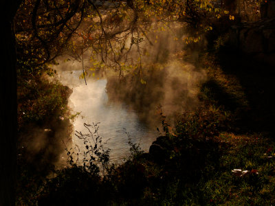 Steamy spring, Benton Hot Springs, California, 2006