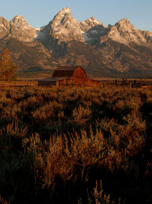 Vertical vista, Grand Teton National Park, Wyoming, 2006