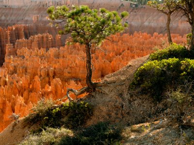 Reflected light, Bryce Canyon, Utah, 2006