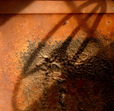 Mortality, Shoshone, California, 2007