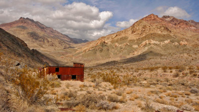 Survivor, Leadfield, Death Valley National Park, California, 2007