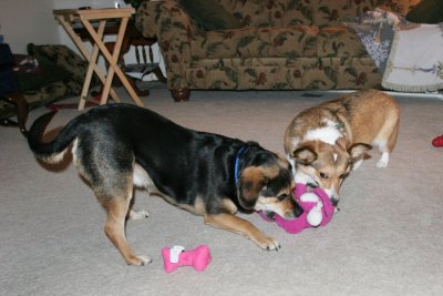 IMG_4283.jpg
