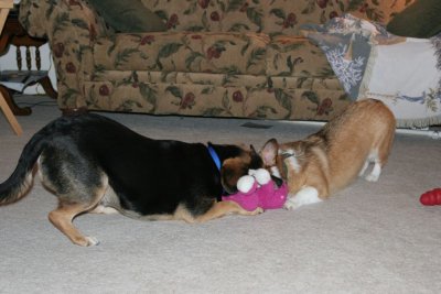 IMG_4284.jpg