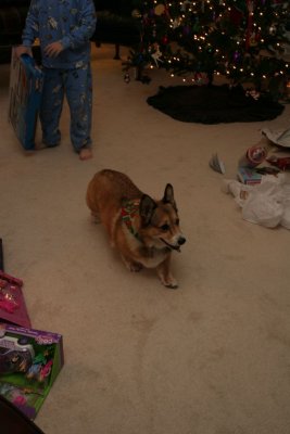 IMG_4332.JPG
