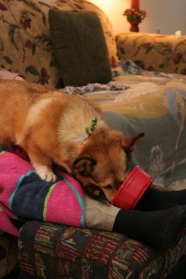 IMG_4347.JPG