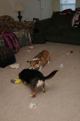 IMG_4357.JPG