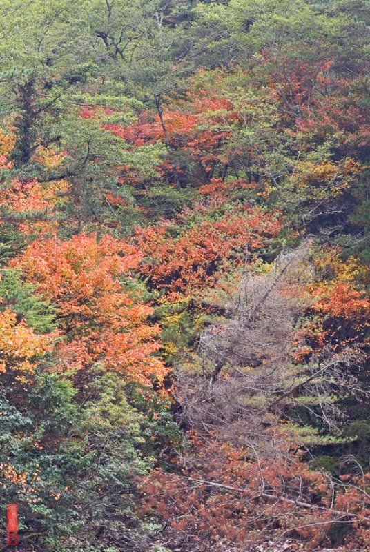 DSC_070102.jpg