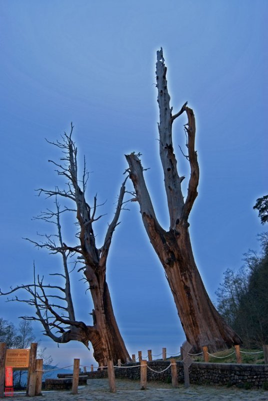 DSC_1184.jpg