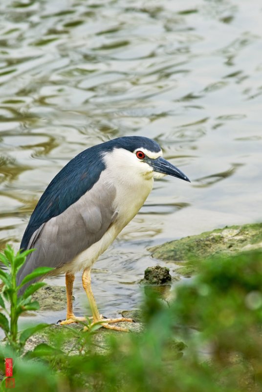 DSC_1673.jpg