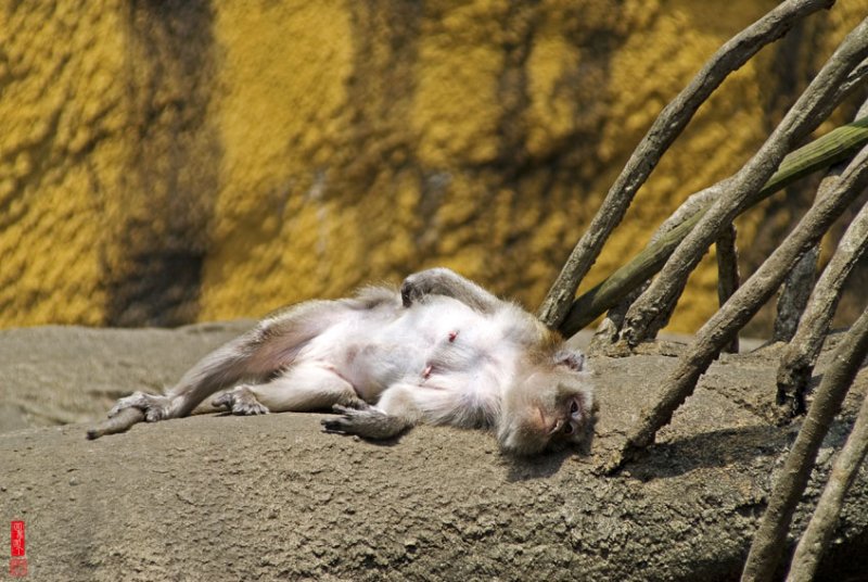 DSC_1753.jpg