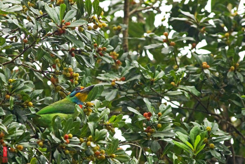 DSC_1900.jpg