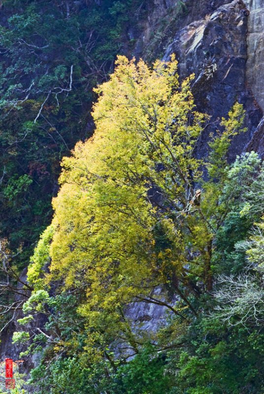 DSC_5904.jpg