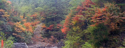 DSC_070105.jpg
