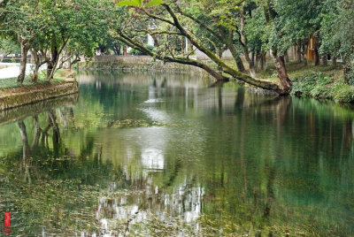 DSC_0875.jpg