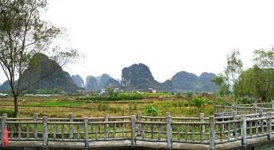 DSC_089194.jpg