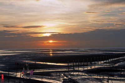 DSC_2133.jpg