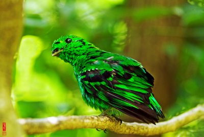 pL DSC_3135.jpg