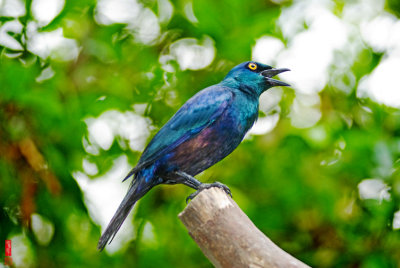 DSC_3139.jpg