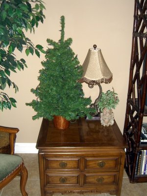 With the Cats Decided to Go With Many Small Trees