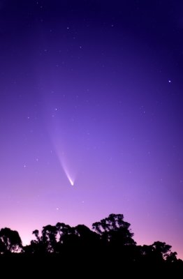 Comet Mc Naught 14 x 20 30 secs .jpg