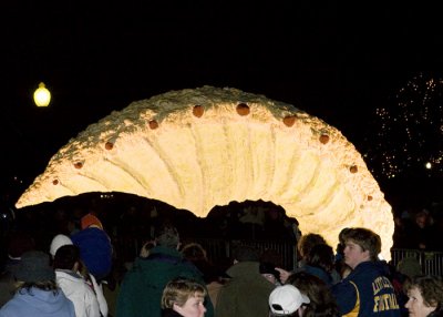 Cocoon_3514.jpg