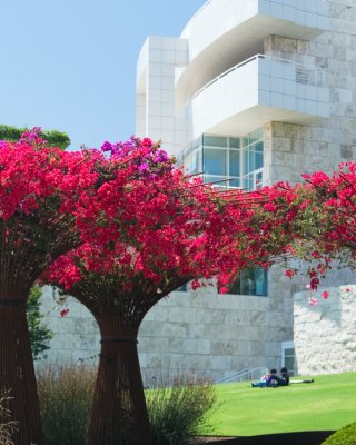 Getty_7312.jpg