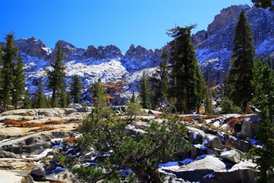 SequoiaNP_8410.jpg