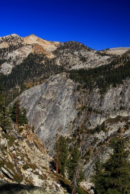 SequoiaNP_8388.jpg
