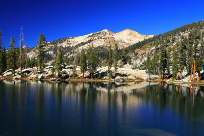 SequoiaNP_8405.jpg