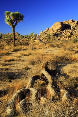 JTNP_8455.jpg