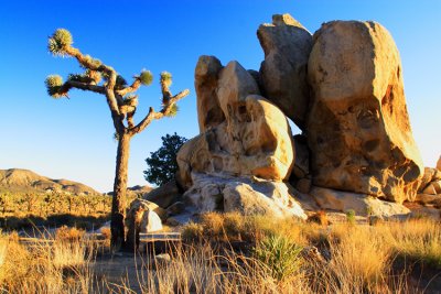 JTNP_8467.jpg