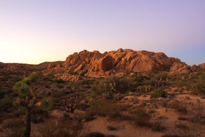 JTNP_8487.jpg