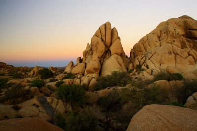 JoshuaTreeNP_8480.jpg