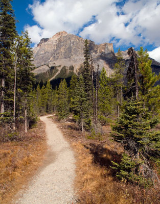 Emerald Lake Trail