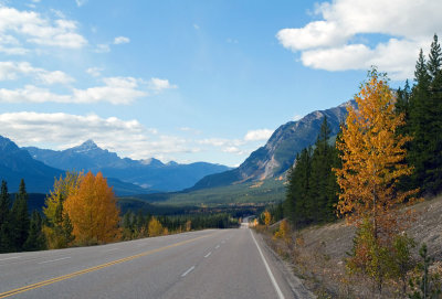 Icefields Parkway Autumn