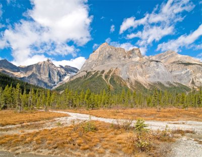 Emerald Lake Trail 3